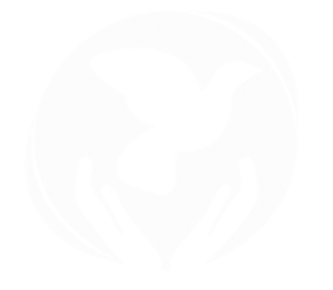 logo 100kb